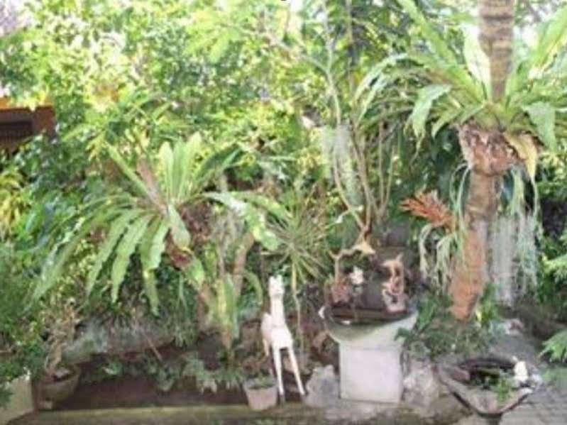 Sadru House Panzió Ubud Kültér fotó